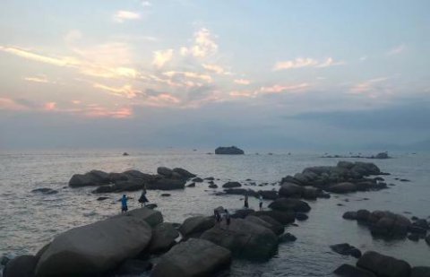 NG28股权激励：初创企业股权激励如何做？